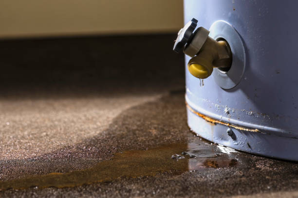 Best Professional water damage repair  in Anza, CA