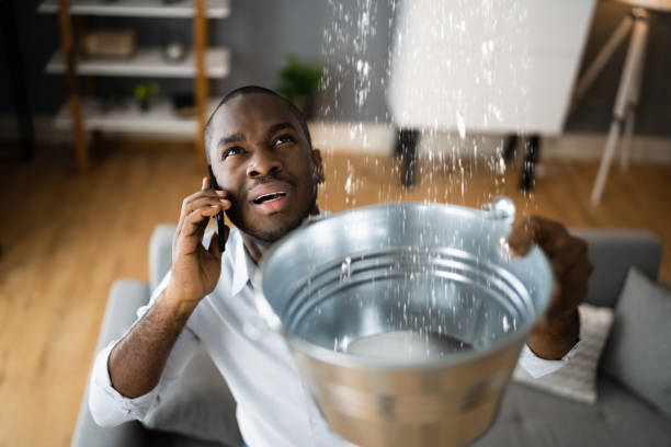  Anza, CA Water damage restoration Pros