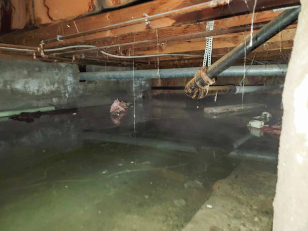 Reliable Anza, CA Water damage restoration Solutions