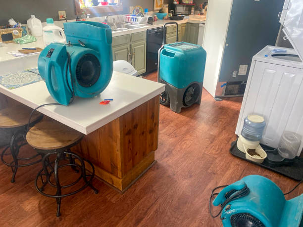 Best Water damage restoration near me  in Anza, CA