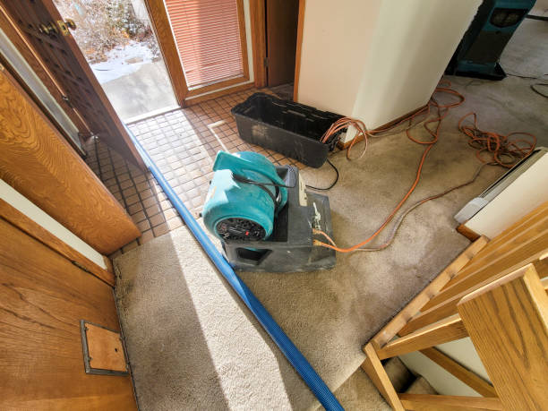 Best Flooded house restoration  in Anza, CA