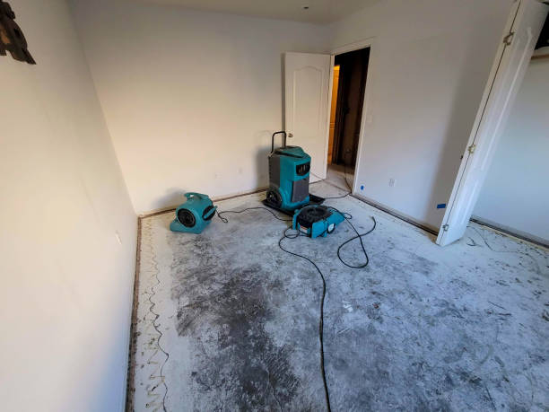 Best Basement water damage restoration  in Anza, CA