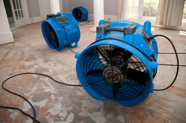 Best Water damage cleanup near me  in Anza, CA