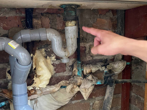 Best 24/7 water damage repair  in Anza, CA